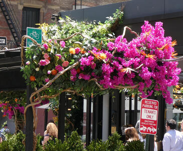 Outdoor eating area with large mass of purple flowers overhanging the framework of the seating area.