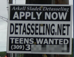 Sign advertising for teens to detassel corn