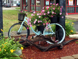 Bicycle with flower pots and flowers on it.