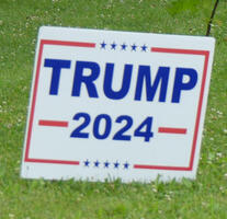 Lawn sign: Trump 2024