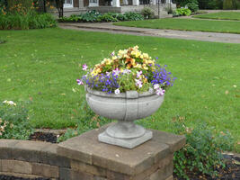 Gray concrete planter with small blue and yellow flowers