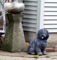 Statue of a long-haired dog