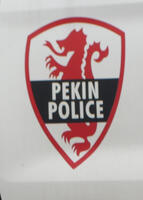 Decal on police car showing stylized Chinese dragon