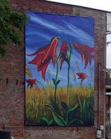 Mural of orange bell-shaped flowers