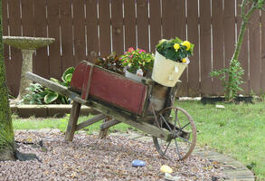Old-fashioned wheelbarrow with flower pots and flowers