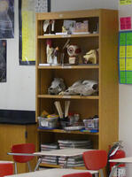 Shelves in biology area with anatomitcal models of ear and eye, and animal skulls