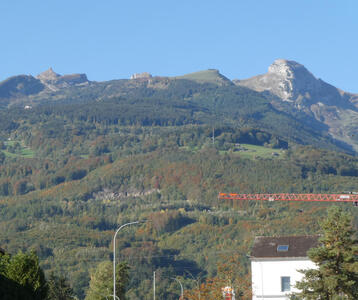 Tree-covered mountain in background