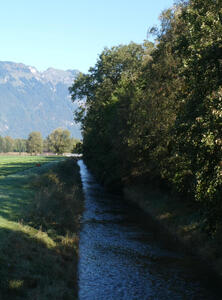 Narrow stream in middle; trees at right, mountain in background left