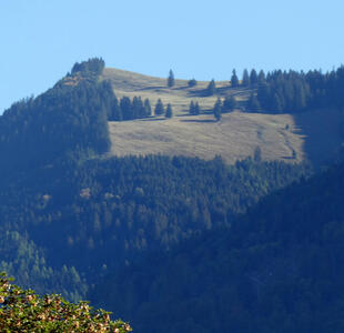 Steep, forested hill. Near top, a cleared-out meadow