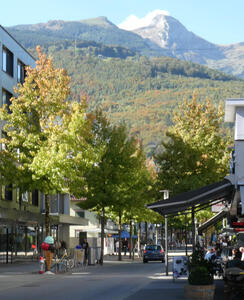 Tree-lined pedestrian shopping street. In background, a mountain with trees about 3/4 up the side.
