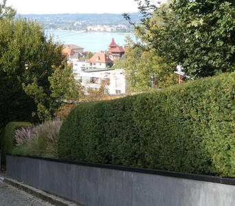 View downhill. In foreground, bushes. In midground, homes. In background, the lake