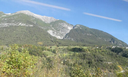 Mountains in background, vegetation in foreground.