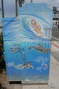 surfer shark turtle and mercat