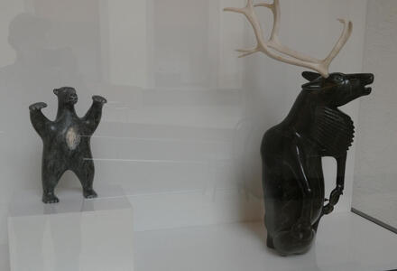 bear stag