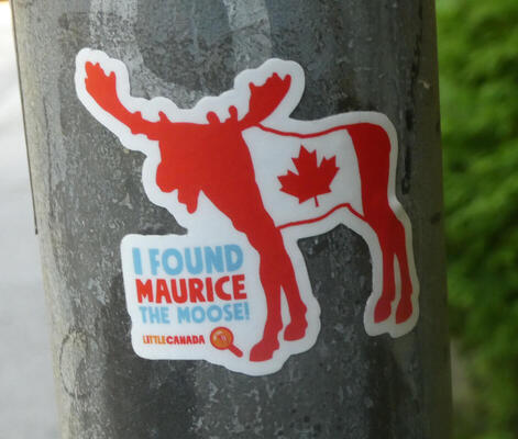 “I found Maurice the Moose”; moose-shaped canadian flag.