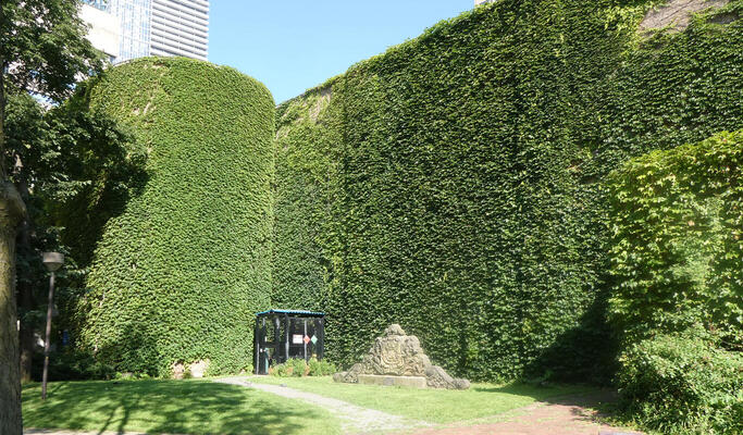 walls covered with greenery