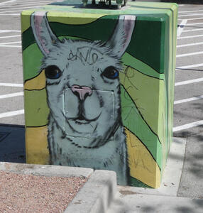 llama