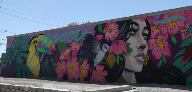 Toucan, songbird, and woman’s head. Pink flowers in background.