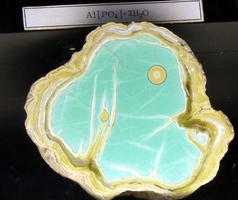 Light green cross-section